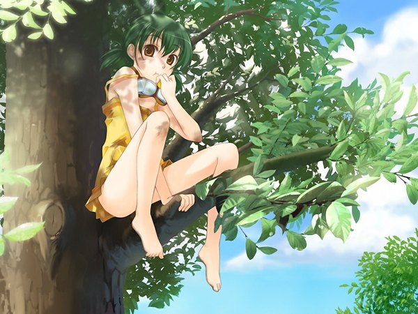 Anime picture 1024x768 with amanatsu brown eyes green eyes game cg girl plant (plants) tree (trees) sundress