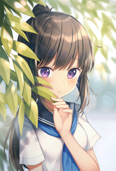 Anime picture 675x1000 with original kawami nami single long hair tall image looking at viewer blush fringe breasts brown hair purple eyes payot upper body ponytail blunt bangs sunlight blurry short sleeves depth of field lens flare