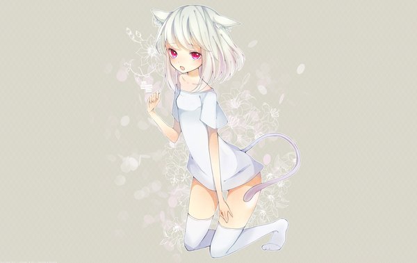 Anime picture 1900x1200 with original chico152 single looking at viewer blush fringe highres short hair open mouth animal ears bent knee (knees) white hair tail animal tail pink eyes cat ears grey background cat tail no shoes kneeling