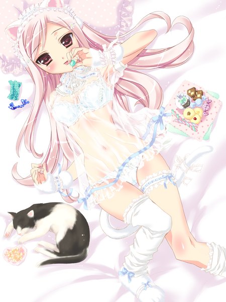 Anime picture 1200x1600 with to heart 2 leaf (studio) lucy maria misora kamiya maneki single long hair tall image blush light erotic red eyes animal ears pink hair cleavage cat ears cat girl cat tail underwear only girl thighhighs navel