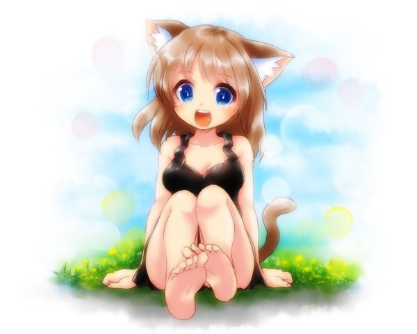 Anime picture 971x777 with original rokuroubuna single looking at viewer short hair open mouth blue eyes light erotic brown hair sitting animal ears cleavage cloud (clouds) tail animal tail girl dress flower (flowers) plant (plants) black dress
