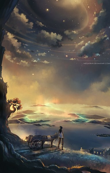Anime picture 701x1100 with original megatruh long hair tall image black hair sky cloud (clouds) from above night shadow night sky back mountain aurora borealis girl plant (plants) animal water building (buildings) grass