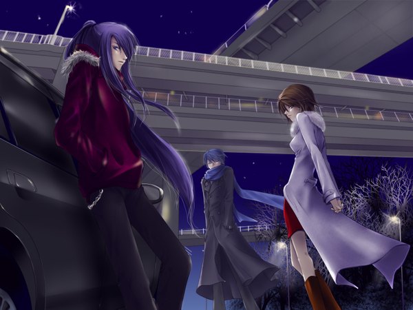 Anime picture 1667x1253 with vocaloid kaito (vocaloid) meiko kamui gakupo looking at viewer blue eyes brown hair standing purple eyes brown eyes blue hair purple hair night zettai ryouiki hands behind back hands in pockets girl boy plant (plants) tree (trees)