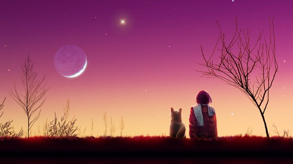 Anime picture 1922x1081 with original kagaya single highres short hair wide image sitting pink hair sky from behind evening sunset autumn girl plant (plants) animal tree (trees) scarf moon star (stars)