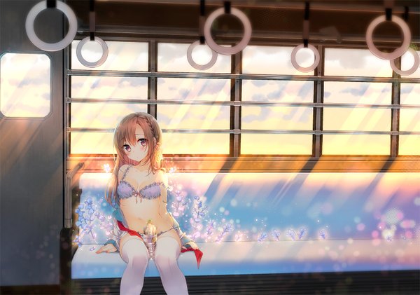 Anime picture 1423x1000 with original yadapot single long hair looking at viewer blush breasts light erotic brown hair sitting brown eyes underwear only train interior girl thighhighs navel underwear panties flower (flowers) white thighhighs