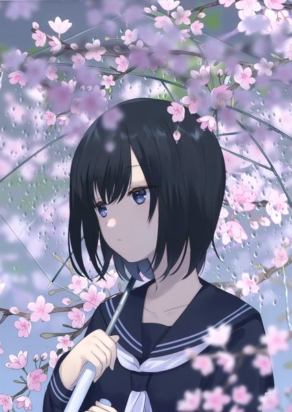 Anime picture 2092x2951 with original achiki single tall image fringe highres short hair blue eyes black hair holding looking away upper body blurry scan depth of field cherry blossoms spring transparent umbrella girl uniform